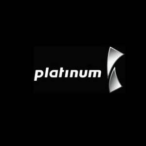 The Platinum Boutique Hotel logo